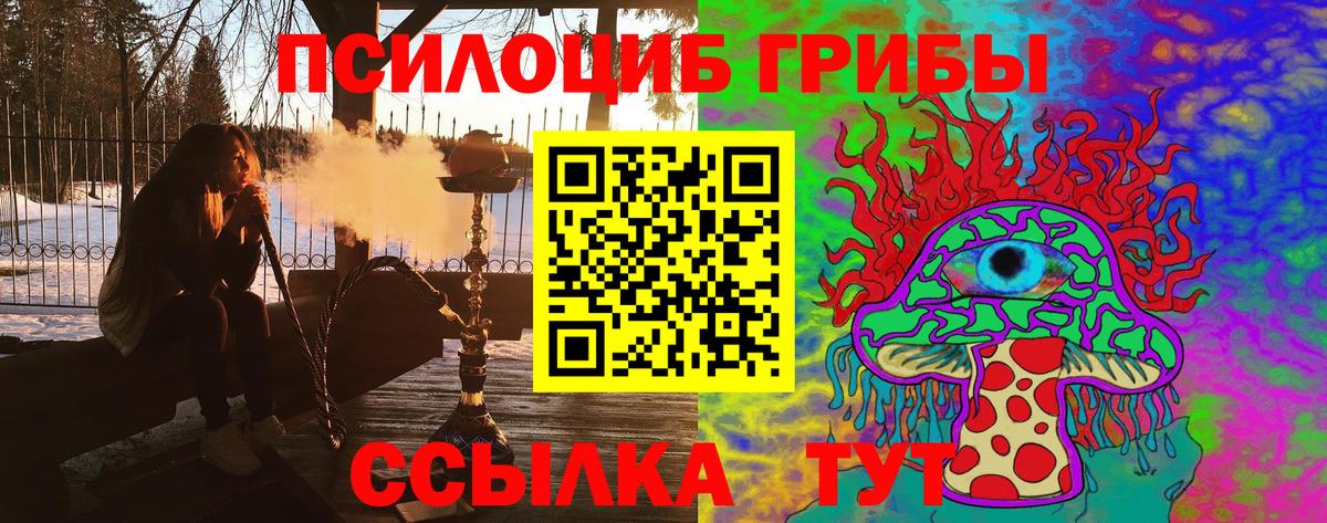 Псилоцибиновые грибы Cubensis  Псилоцибиновые грибы мицелий  Вход с VPN  закладка  Избербаш 