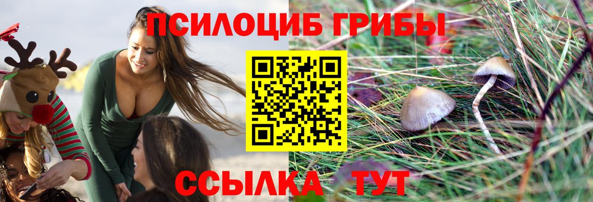 Псилоцибиновые грибы Magic Shrooms Избербаш